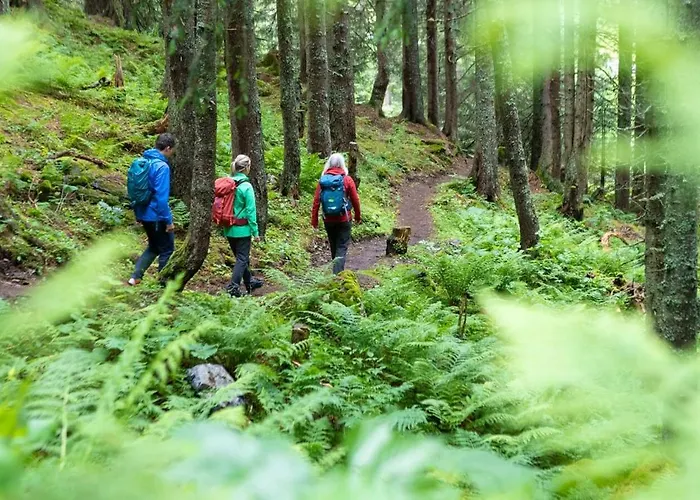 Una Resort * 波斯尼亚克鲁帕